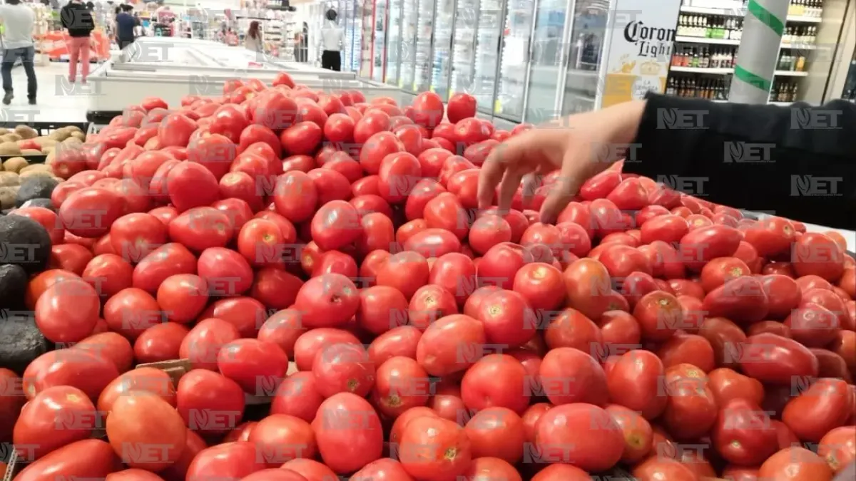 Prevén que baje el precio del tomate en próximas semanas