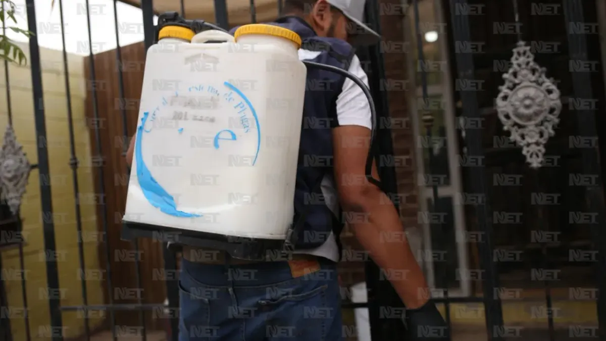 Municipio y empresas combatirán la rickettsia con fumigaciones gratuitas