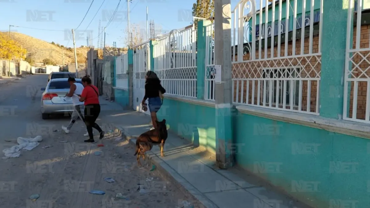Realizan búsqueda de Karina Domínguez, activista desaparecida en Anapra