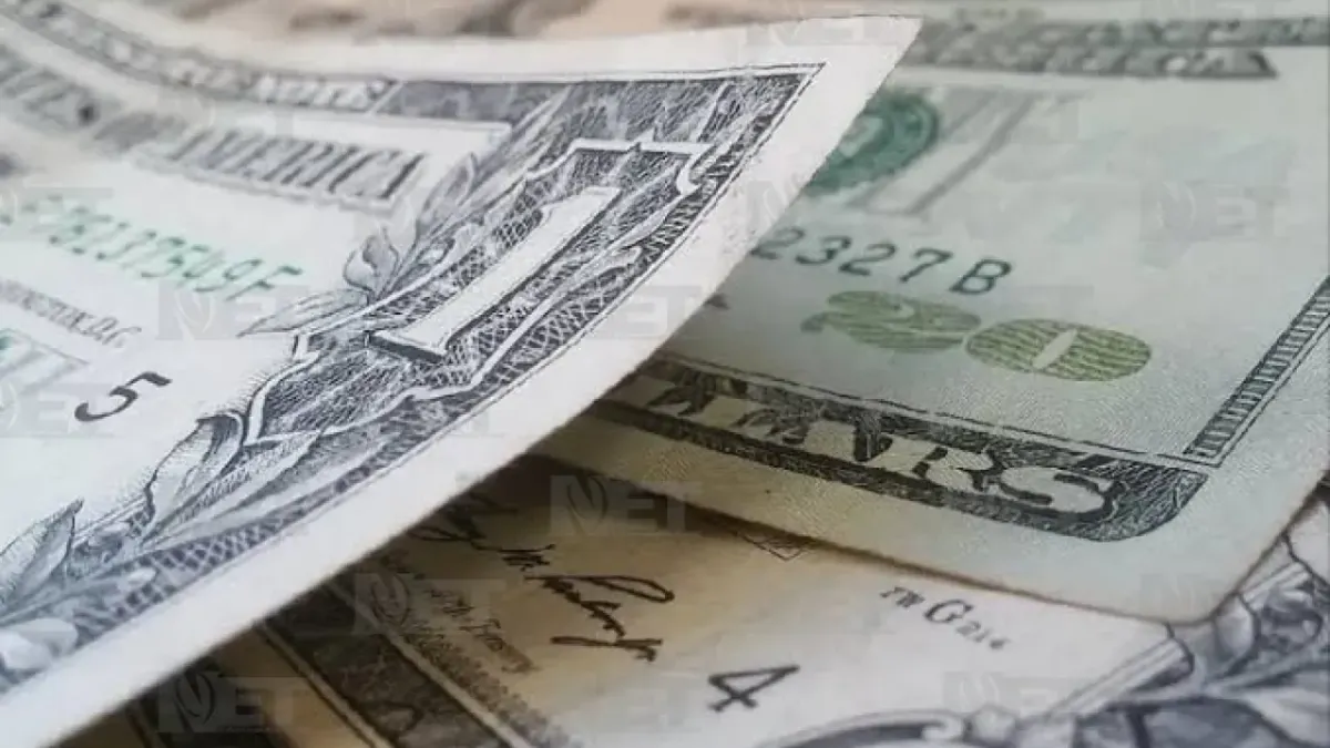 Mantiene estabilidad el dólar