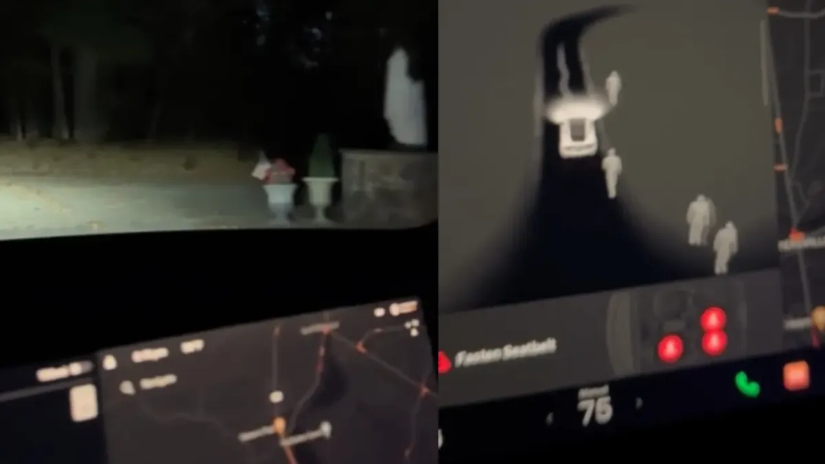 Viaja a panteón de noche y Tesla detecta decenas de personas a su alrededor