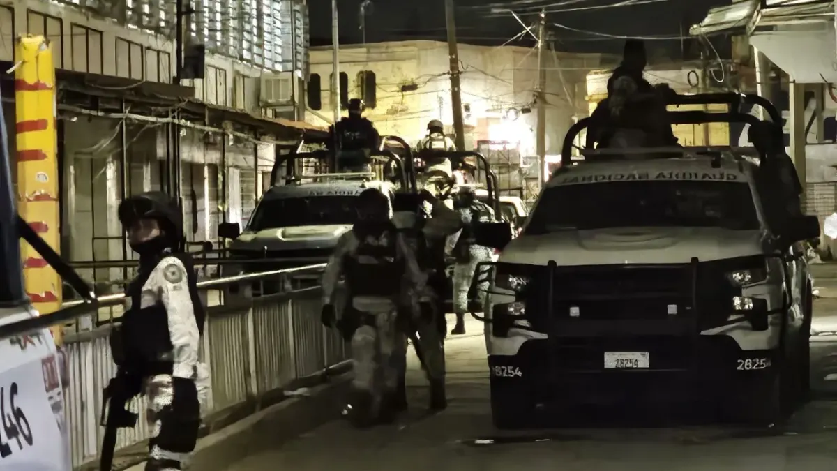 Aseguran en operativo más de 400 animales silvestres en el Mercado Hidalgo