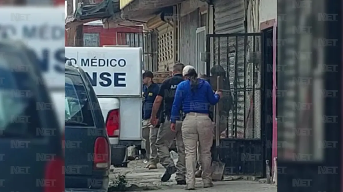 Agente canino encontró cuerpos enterrados en cateo en Juárez