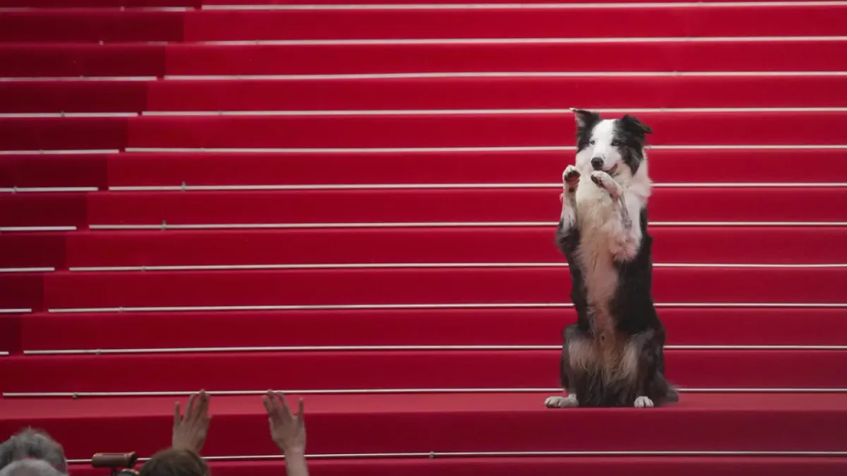 El perro Messi llega a Cannes