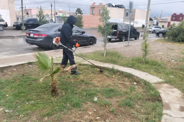 Mejoran imagen de parque en Horizontes del Sur