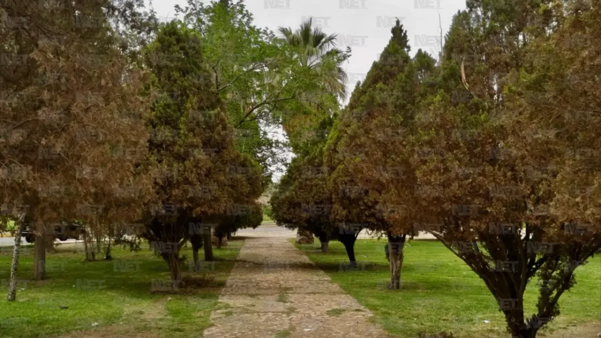 ¡Atención! Si vas a El Chamizal en Pascua, No hagas esto