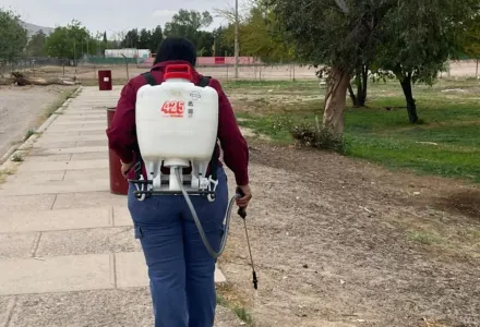 Dirección de Ecología realizará fumigación gratuita en Samalayuca