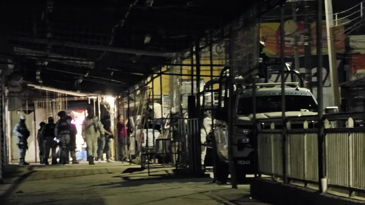 Aseguran en operativo más de 400 animales silvestres en el Mercado Hidalgo