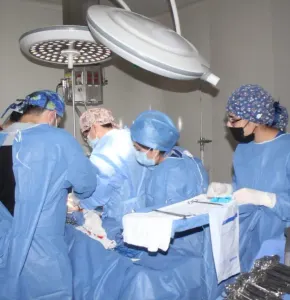 Impulsa Salud donación de órganos y atención psicológica a jóvenes