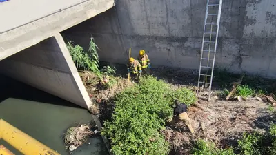 Anuncian cierre parcial en Teófilo Borunda por trabajos de limpieza