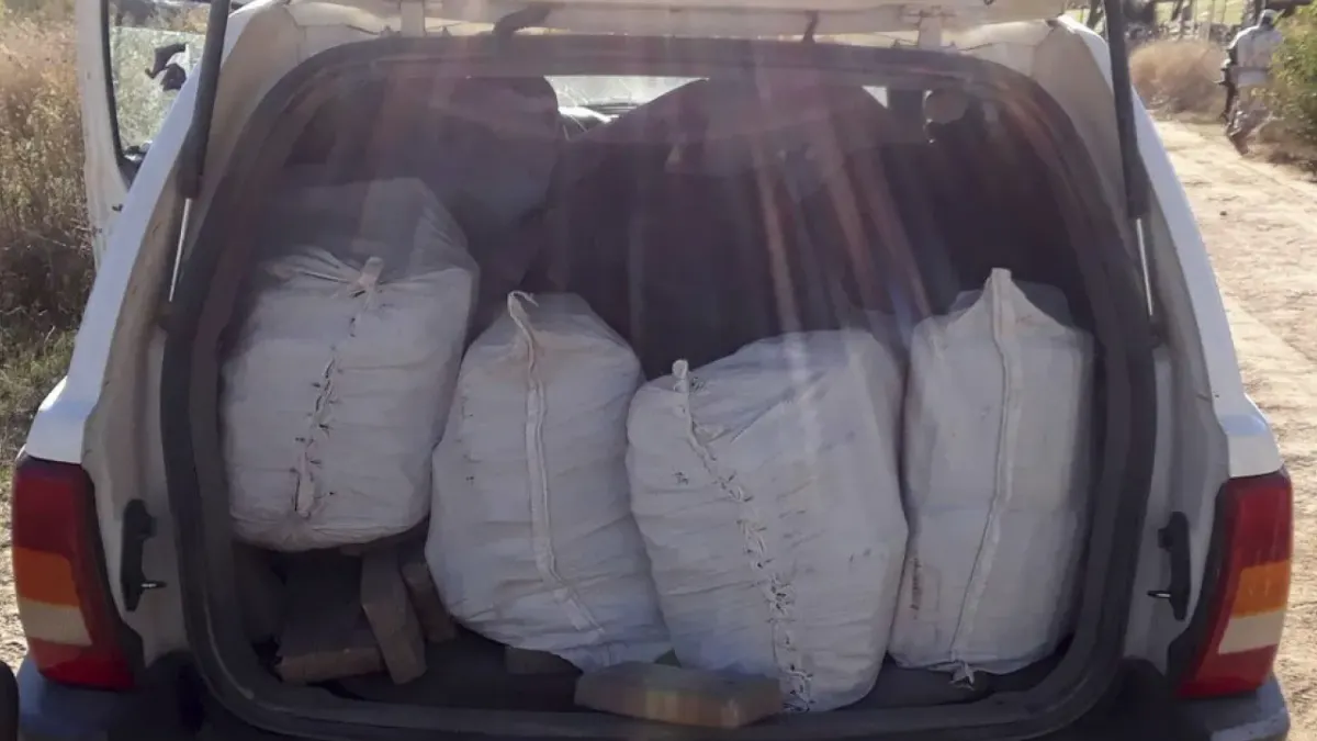 Cae el decomiso de fentanilo en México este año