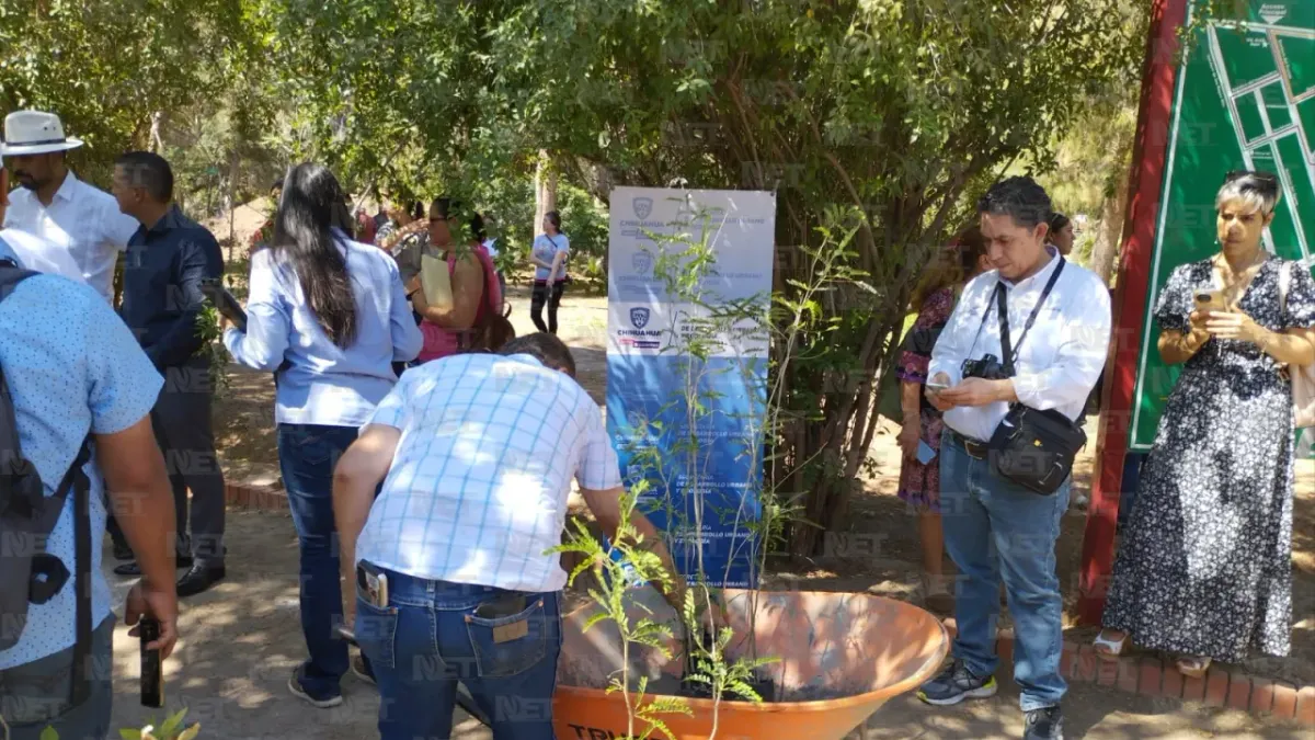 Juárez: Donan árboles para reforestar 85 escuelas