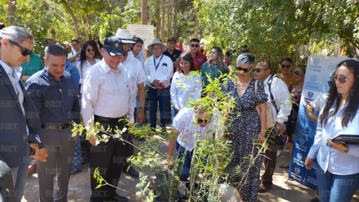 Juárez: Donan árboles para reforestar 85 escuelas