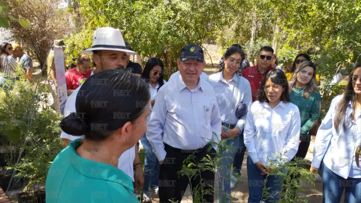 Juárez: Donan árboles para reforestar 85 escuelas
