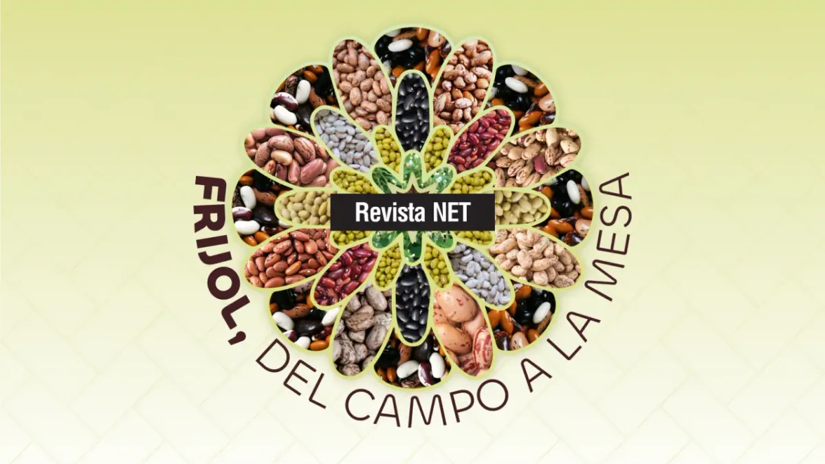 Frijol, el sabor del campo a tu mesa