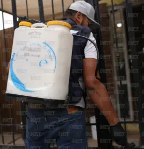 Municipio y empresas combatirán la rickettsia con fumigaciones gratuitas