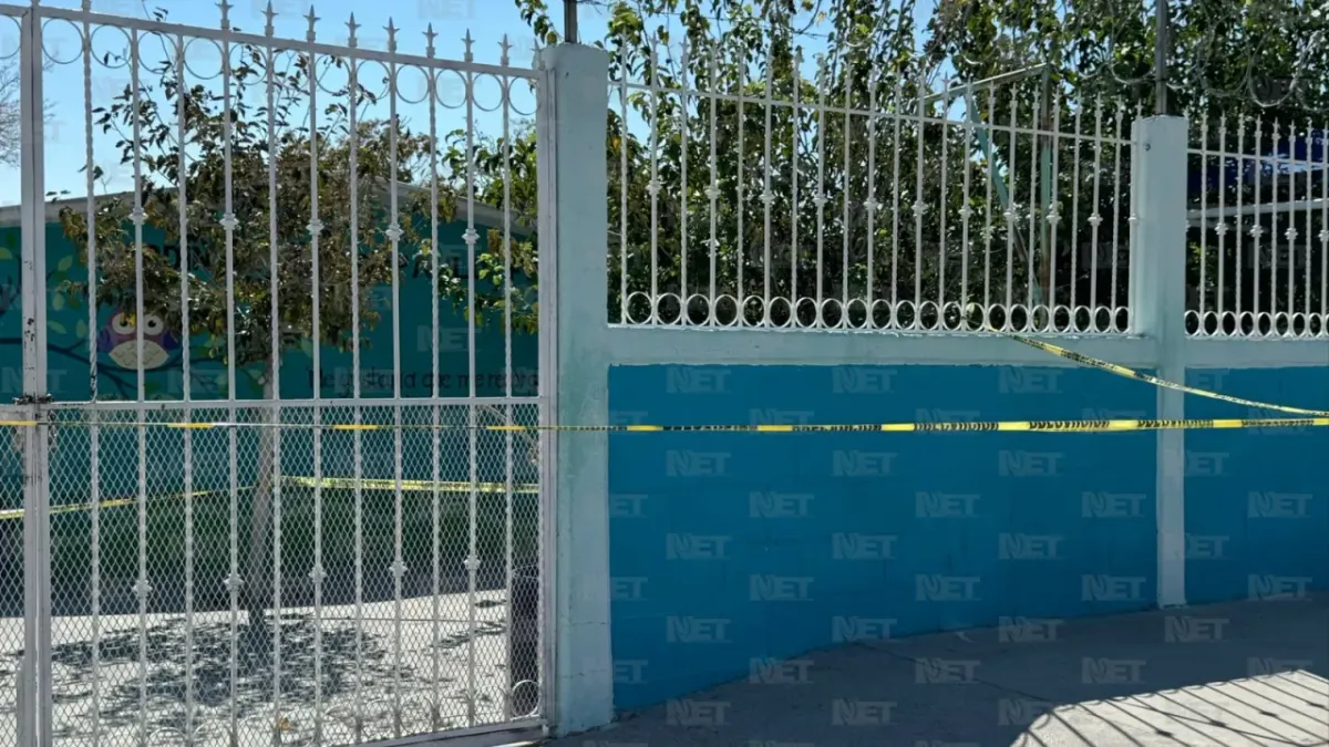 Acordonan acceso a kínder por presencia de enjambre de abejas