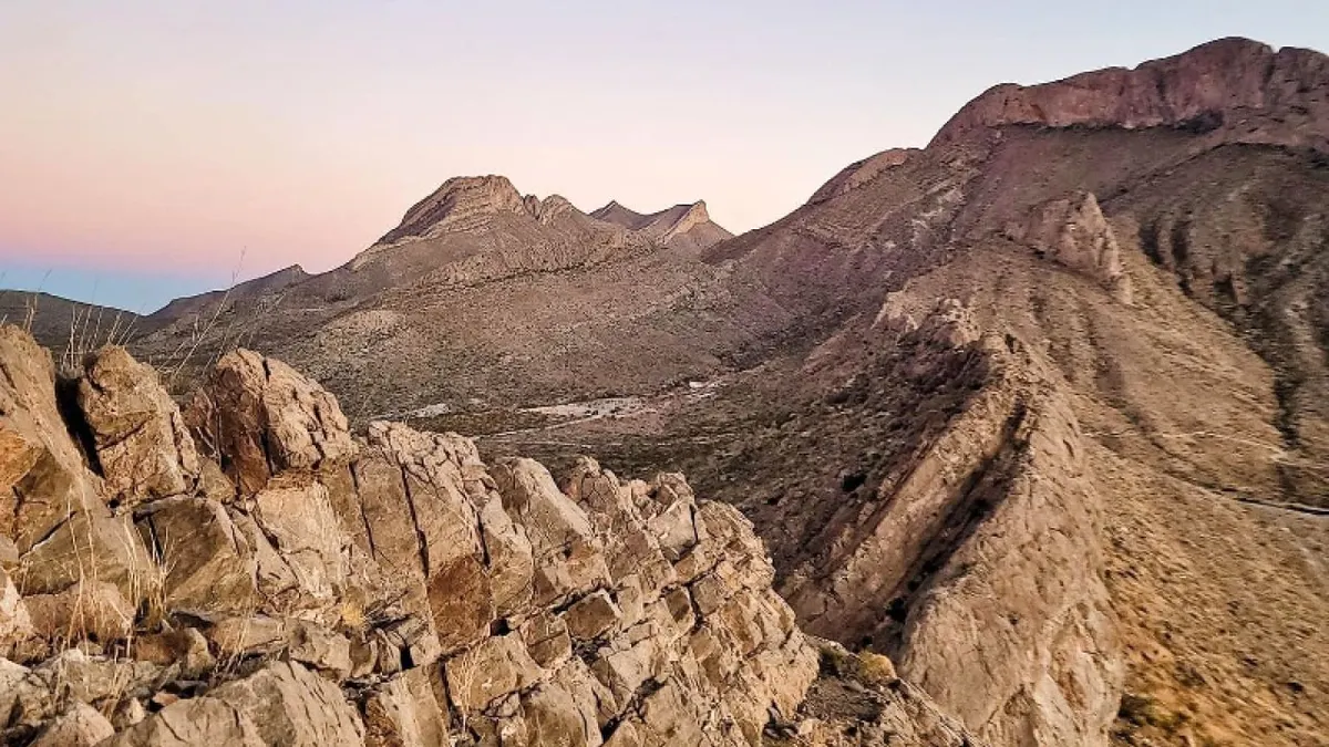 Invitan a conocer la flora y fauna de la Sierra de Juárez