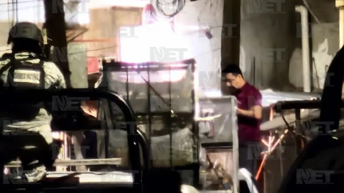 Mercado Hidalgo: Decomisan aves en operativo