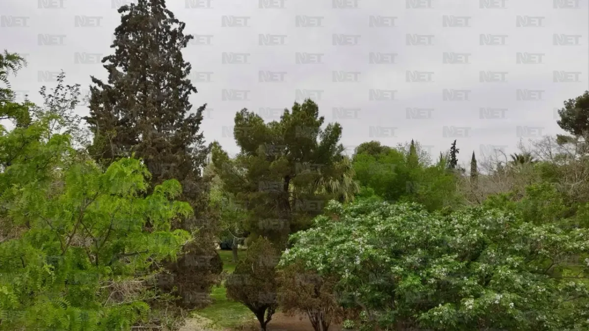 ¡Atención! Si vas a El Chamizal en Pascua, No hagas esto