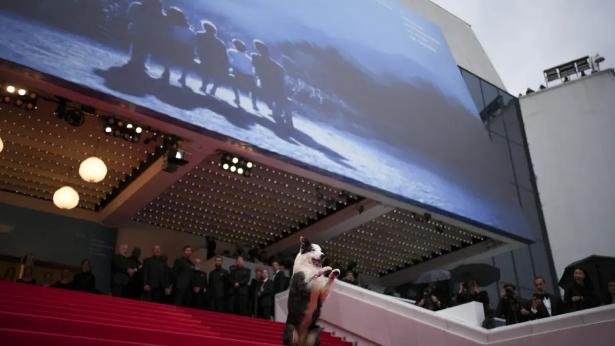 El perro Messi llega a Cannes