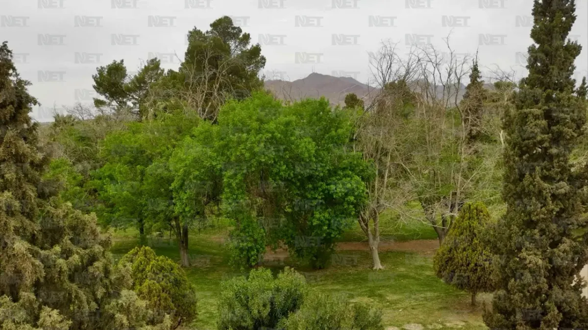 ¡Atención! Si vas a El Chamizal en Pascua, No hagas esto